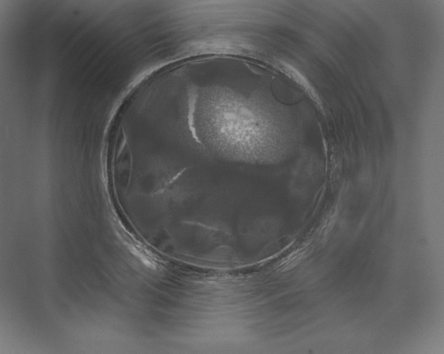 X0000074011035200609061044