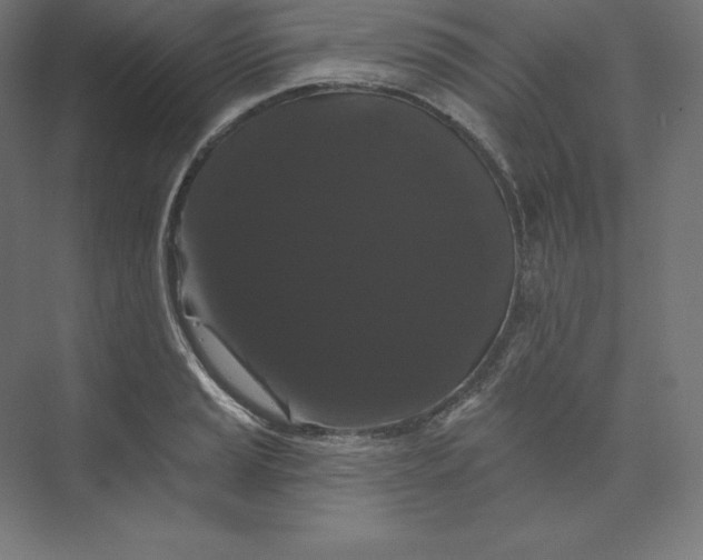 X0000074011037200609061044