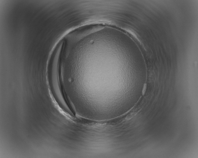 X0000074011038200609061044