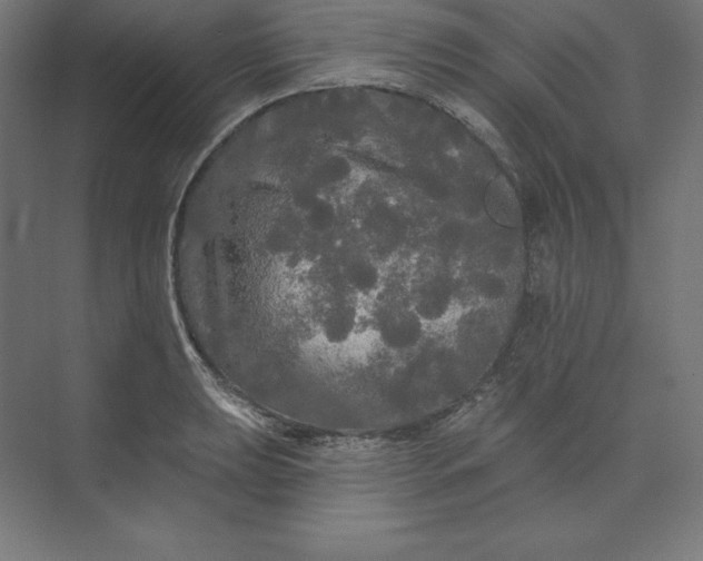 X0000074011039200609061044