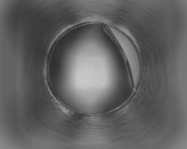 X0000074011040200609061044