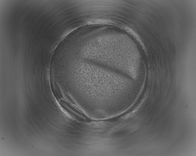 X0000074011041200609061044