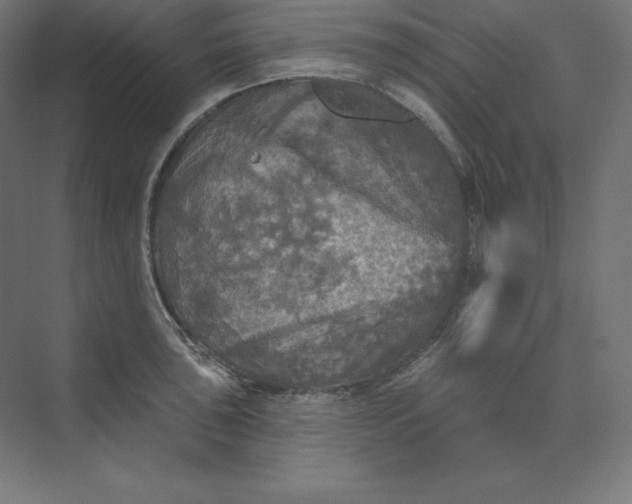 X0000074011043200609061044