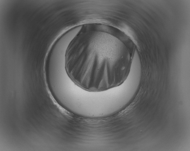 X0000074011046200609061044