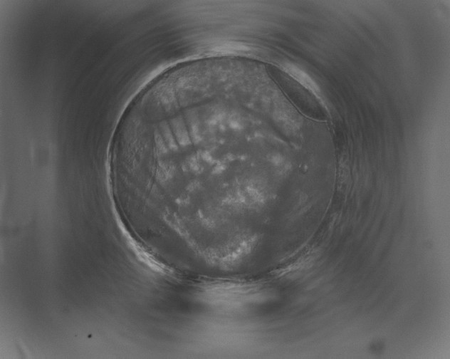 X0000074011047200609061044