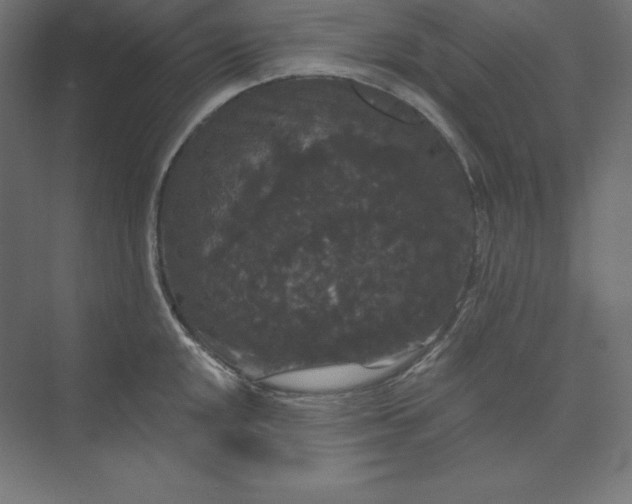 X0000074011048200609061044