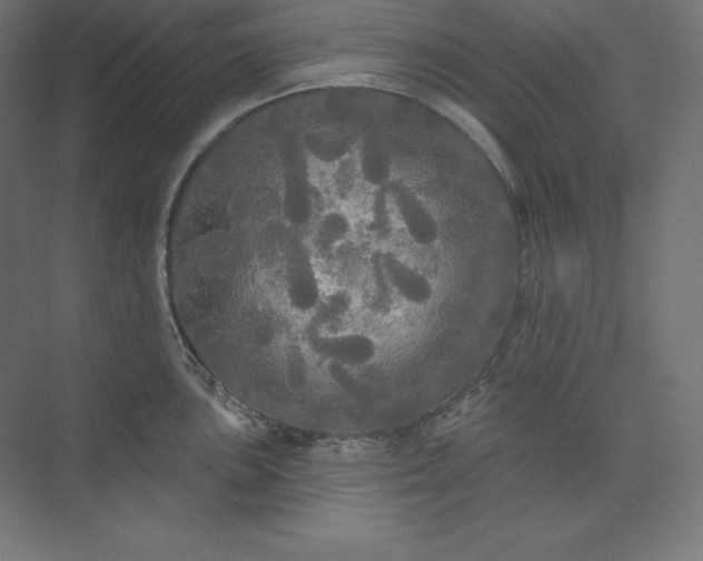 X0000074011051200609061044