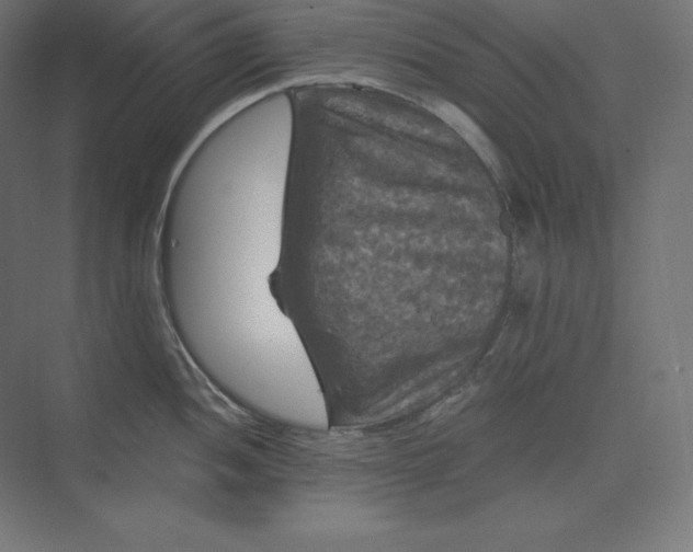 X0000074011052200609061044