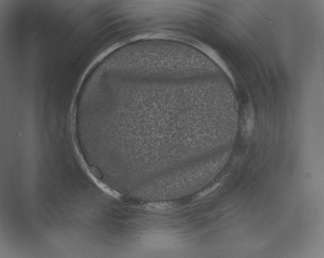 X0000074011053200609061044