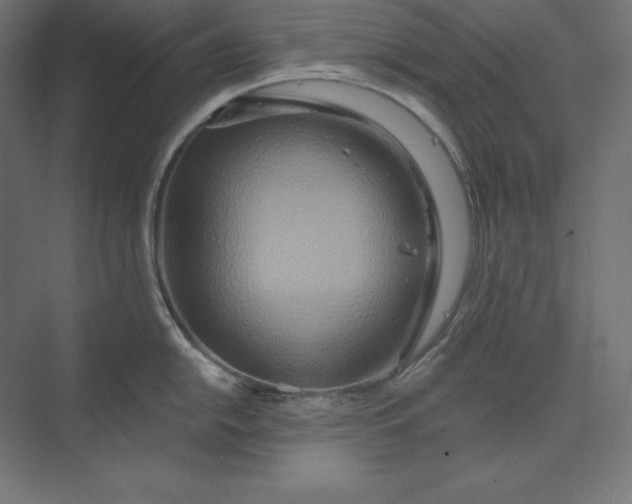 X0000074011054200609061044