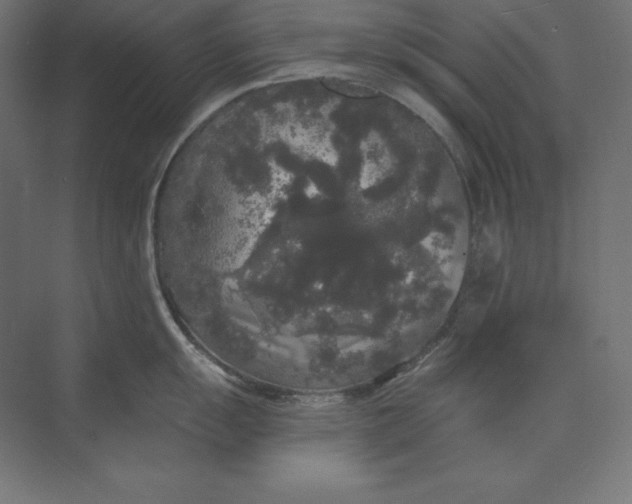 X0000074011055200609061044