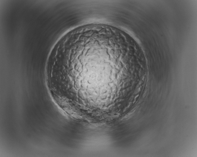 X0000074011056200609061044