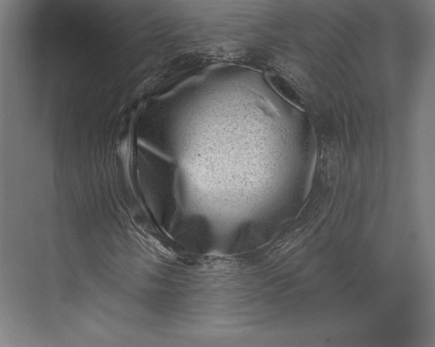 X0000074011058200609061044