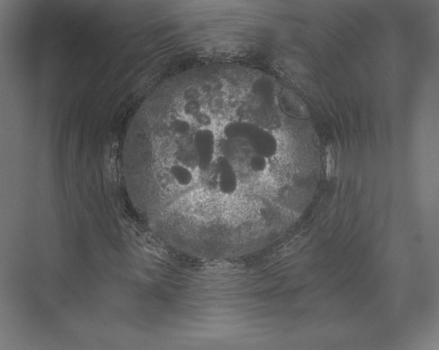 X0000074011059200609061044