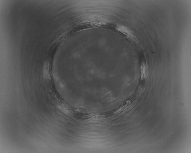 X0000074011060200609061044