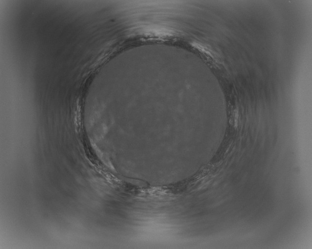 X0000074011061200609061044