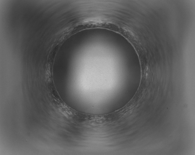 X0000074011062200609061044