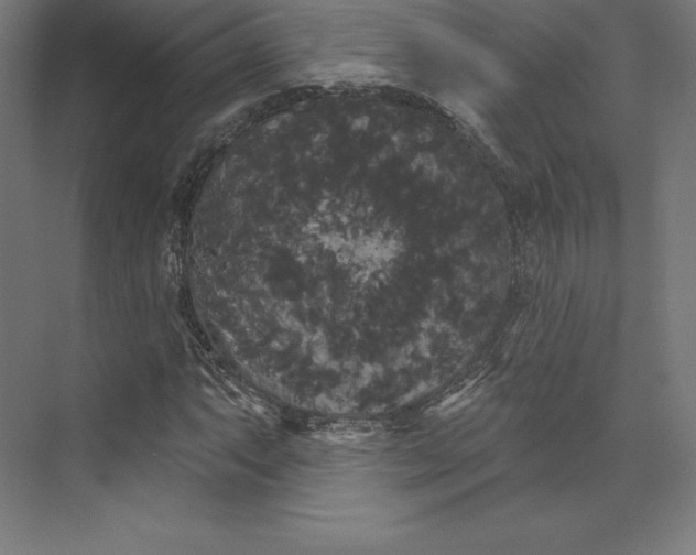 X0000074011063200609061044