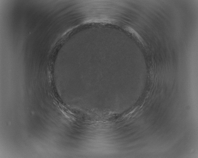 X0000074011064200609061044