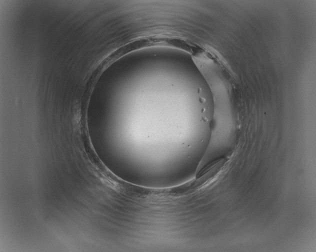 X0000074011065200609061044