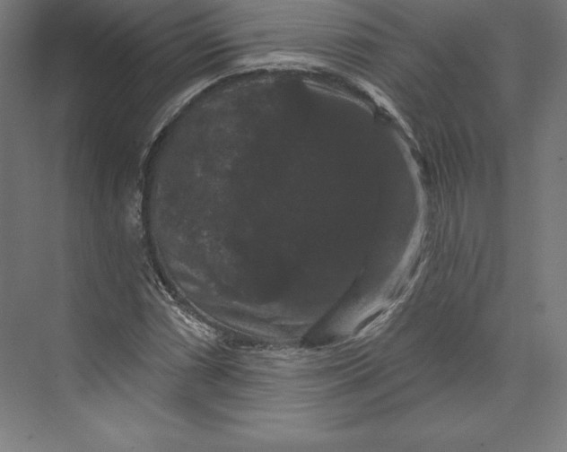 X0000074011066200609061044