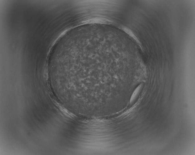 X0000074011067200609061044