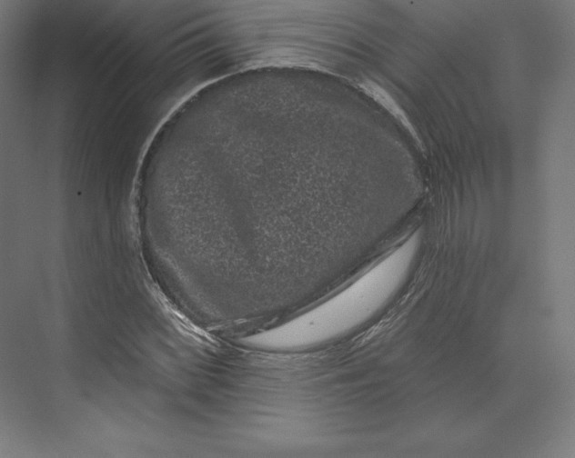 X0000074011068200609061043