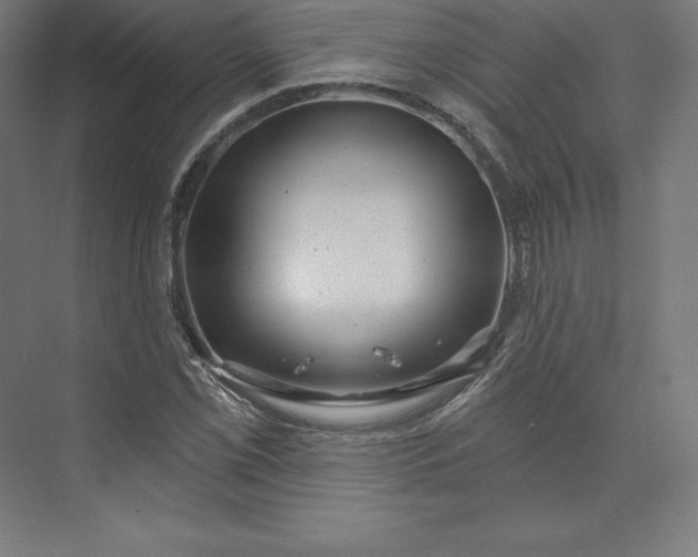 X0000074011069200609061043