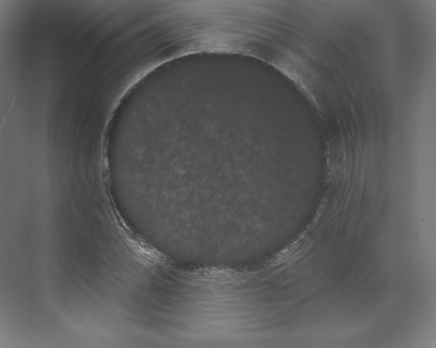 X0000074011070200609061043