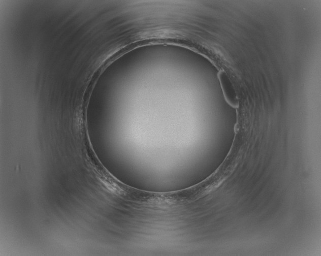 X0000074011073200609061043