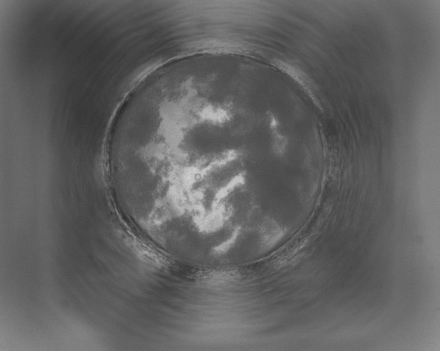 X0000074011074200609061043