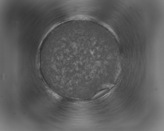 X0000074011075200609061043