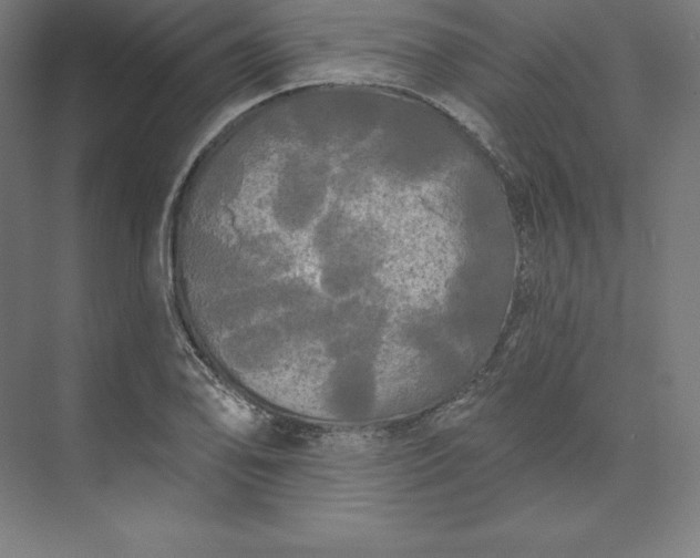 X0000074011078200609061043