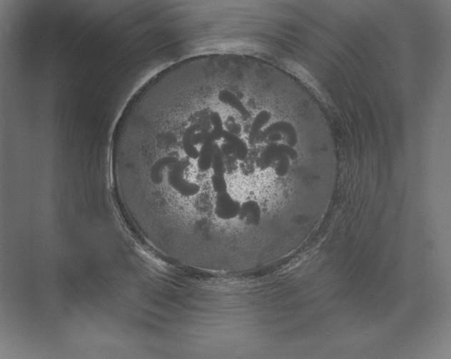 X0000074011079200609061043