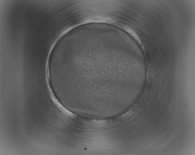 X0000074011080200609061043