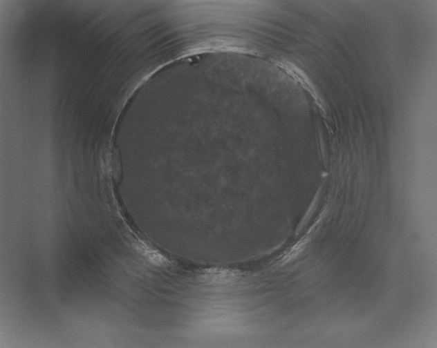 X0000074011081200609061043