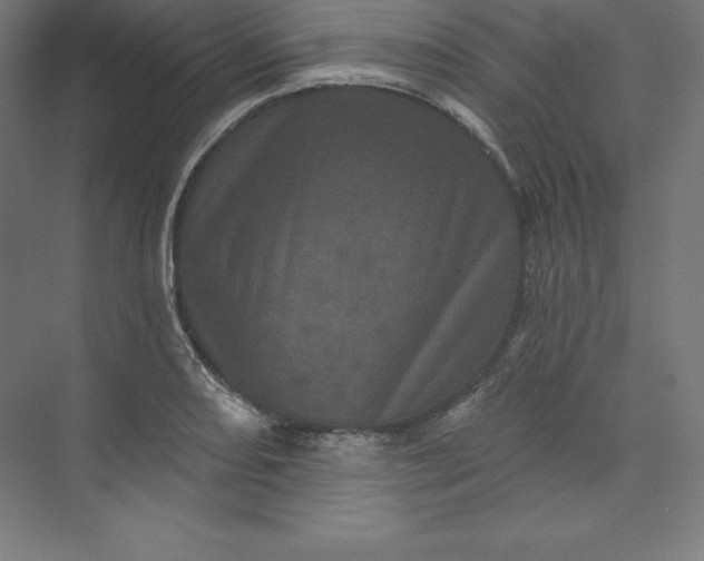 X0000074011082200609061043