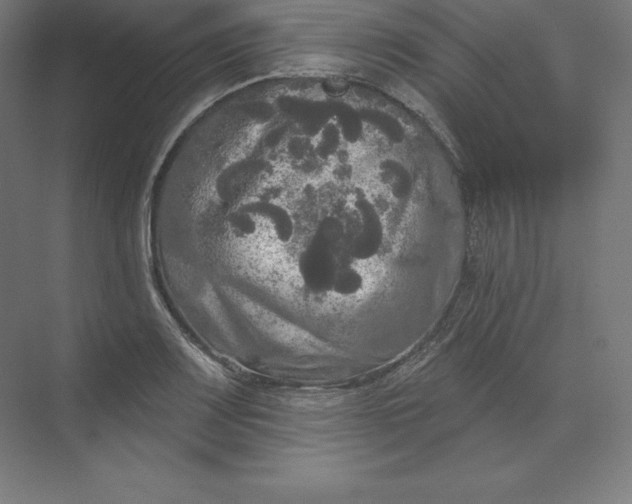 X0000074011083200609061043