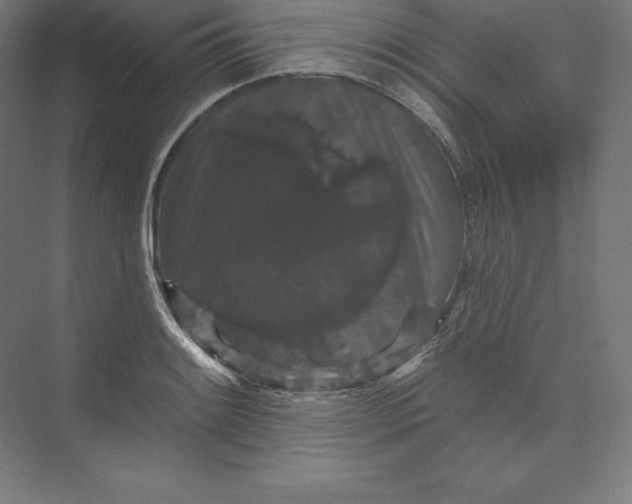 X0000074011084200609061043