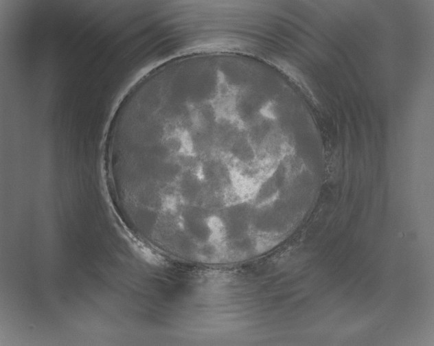 X0000074011086200609061043