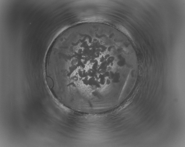 X0000074011087200609061043