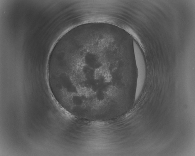 X0000074011088200609061043