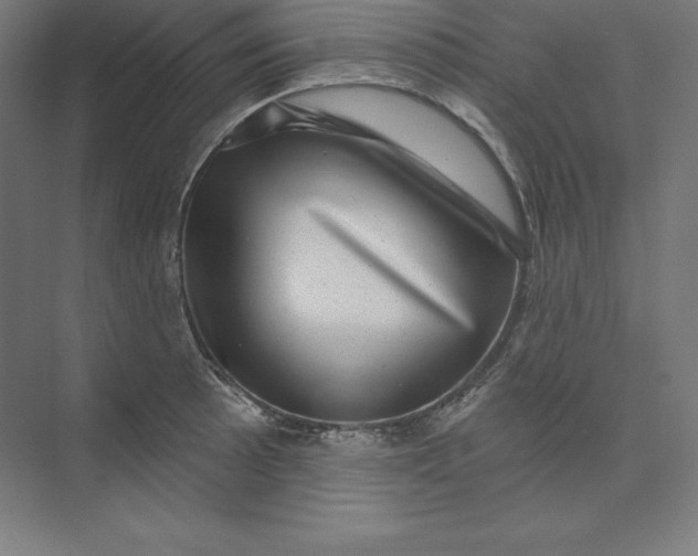 X0000074011089200609061043