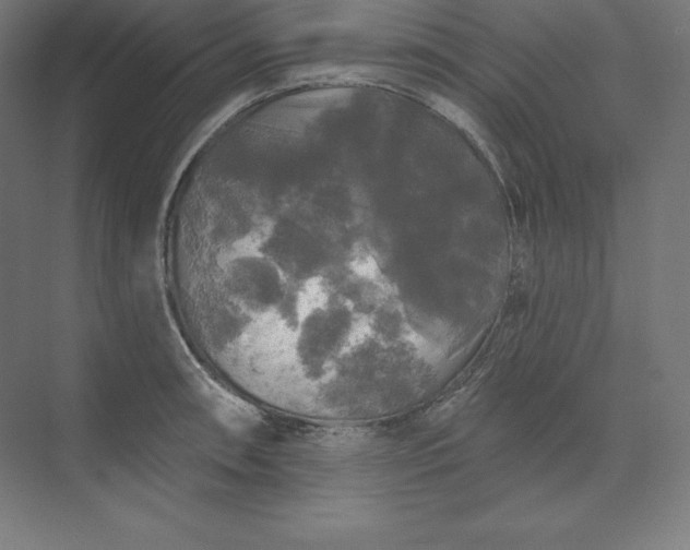 X0000074011090200609061043