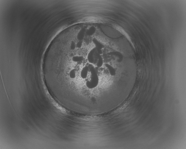 X0000074011091200609061043