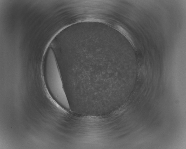 X0000074011092200609061043