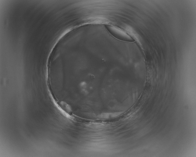 X0000074011095200609061043