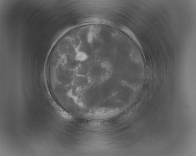 X0000074011098200609061043