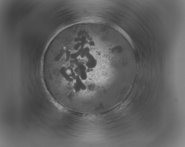 X0000074011099200609061043