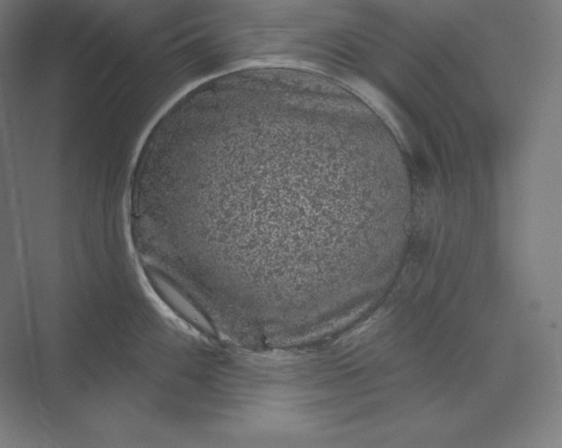 X0000074011100200609061043